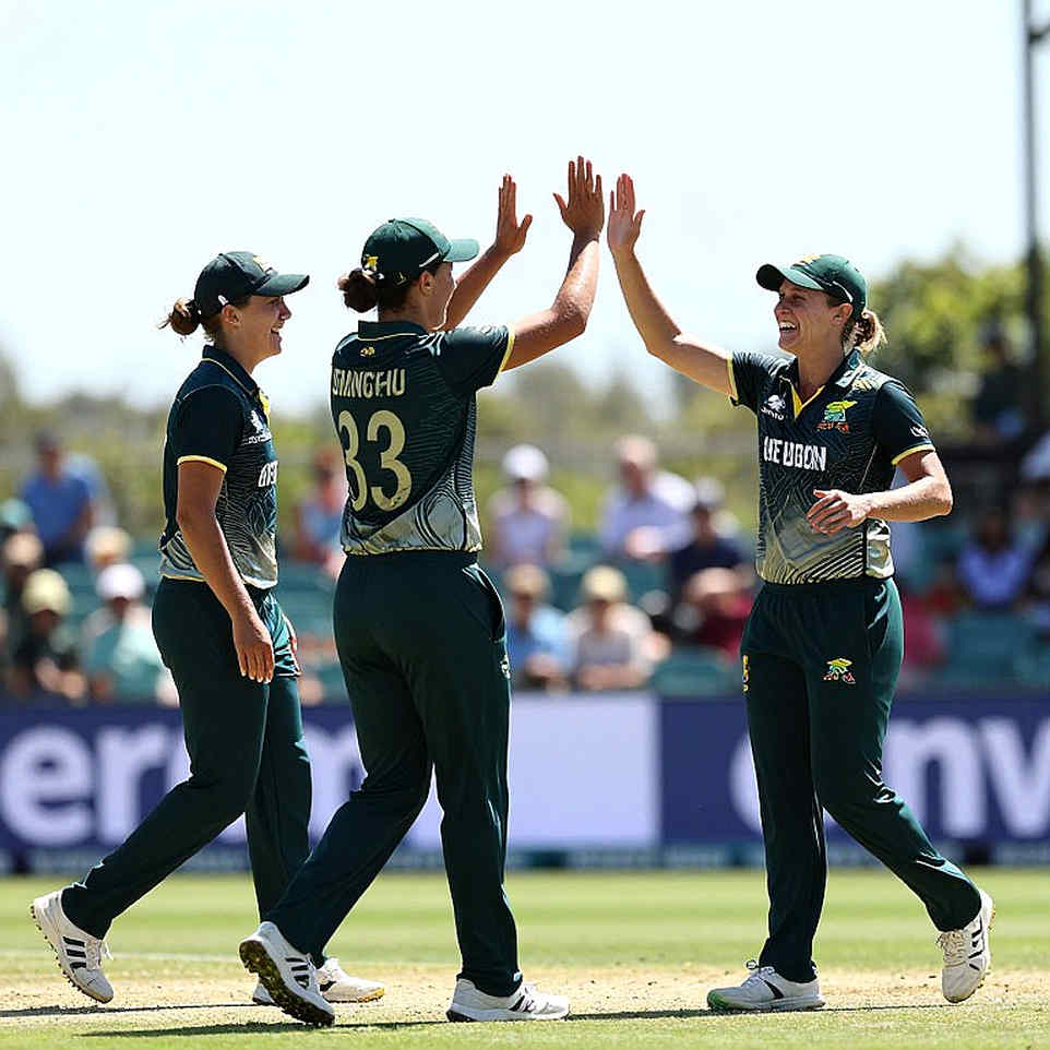 Naman Dhir's T20I Future: An Unnamed Quote, a Fan Poll, and the Arithmetic of an Undocumented Talent Naman Dhir's T20I Future: An Unnamed Quote, a Fan Poll, and the Arithmetic of an Undocumented Talent