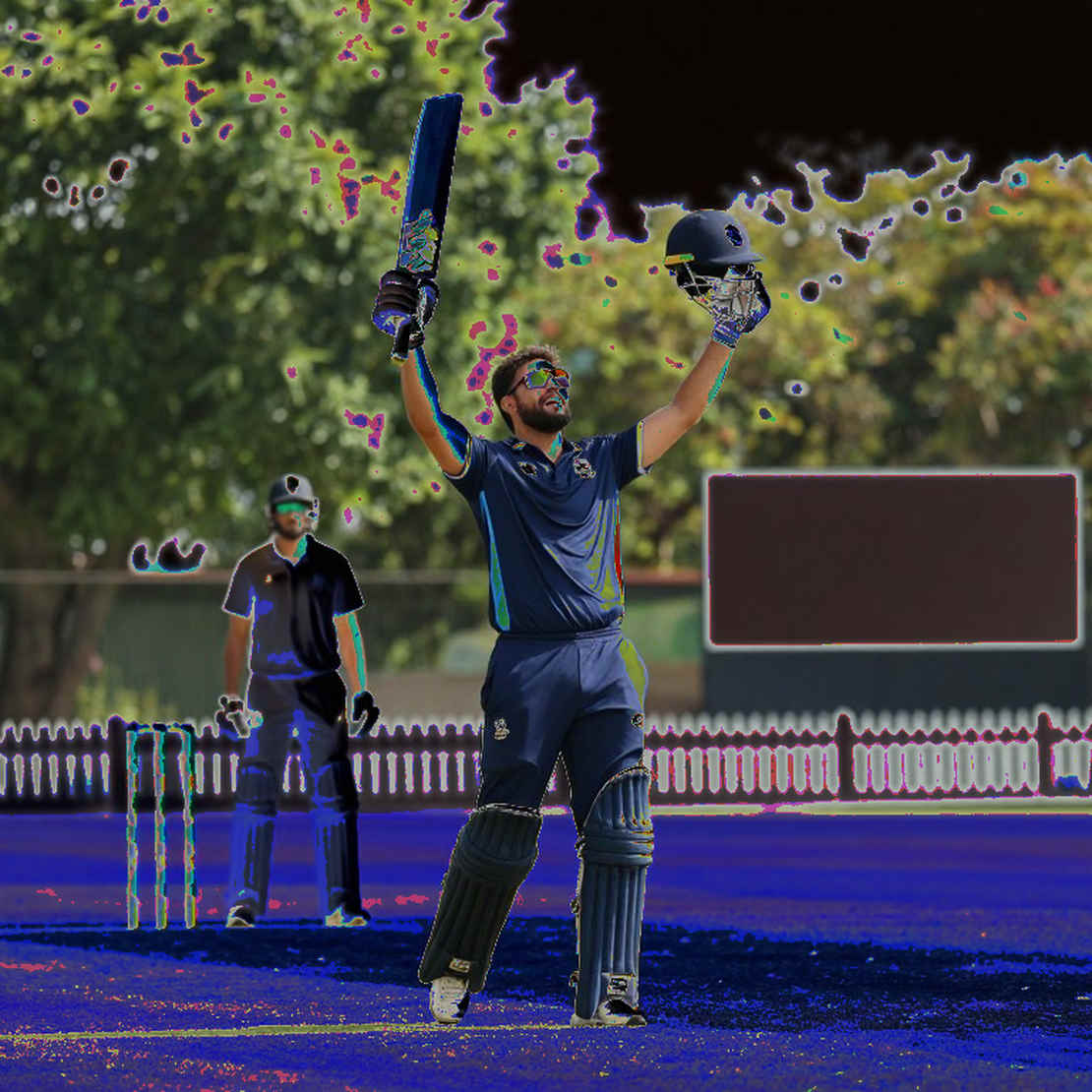 Cricket's Immutable Ledger: Empty Inputs, the Discipline of Verification, and What the Blockchain Ledger Teaches Us