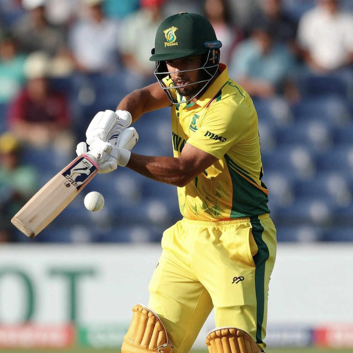 Cricket's Immutable Ledger: Empty Inputs, the Discipline of Verification, and What the Blockchain Ledger Teaches Us